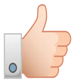 professionnel réparation immédiat